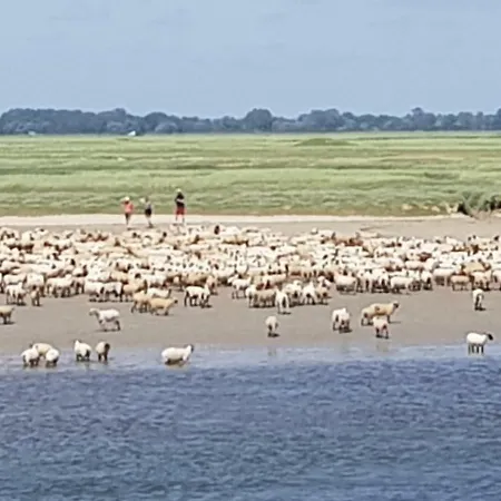 Hébergement de vacances La Valerienne Saint-Valery-sur-Somme